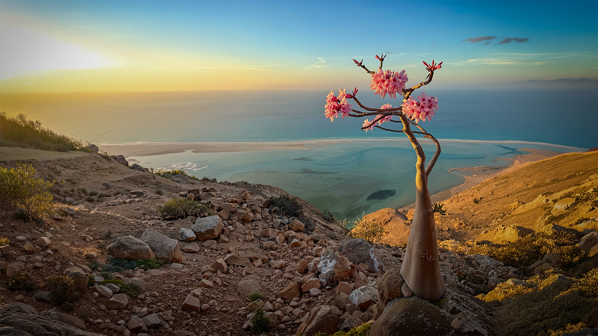 Detwah Lagoon Socotra where two oceans meet